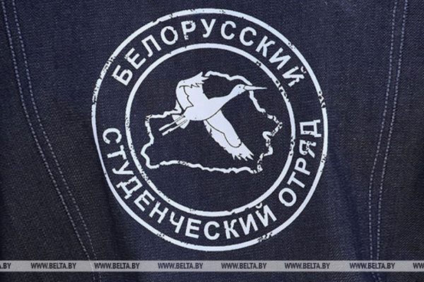 Выбираем студотряд