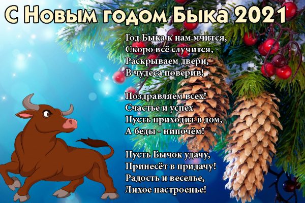 С наступающим Новым годом!