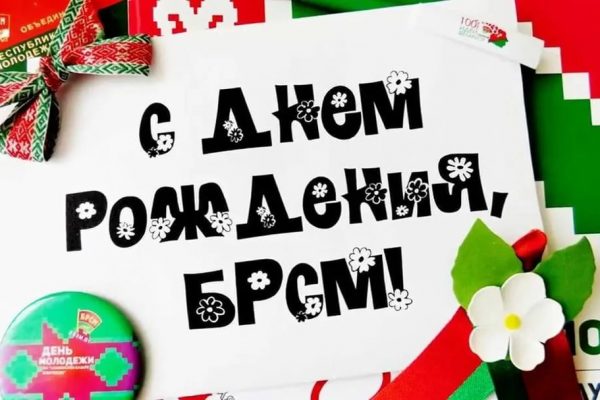 БРСМ колледжа встретил свой День рождения!