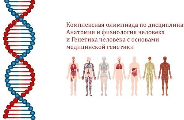 Поздравляем участников и победителя комплексной олимпиады!
