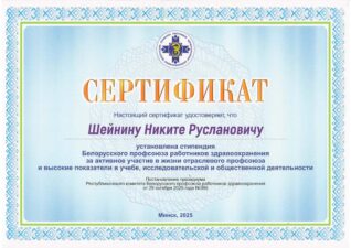 29_10_2025Шейнин